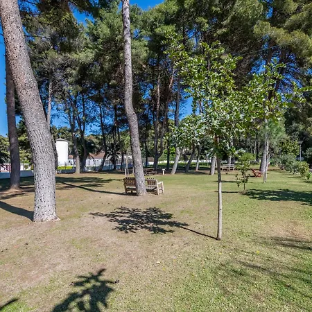 Apartment Casa Per 2 Su Baia Calenella Vico Del Gargano